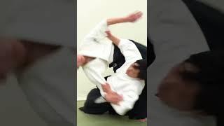 Beautiful and dangerous Aikido sacrificial technique