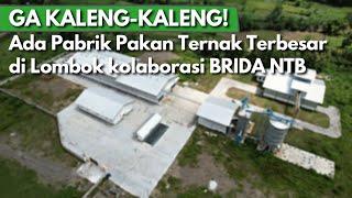 INDONESIA PUNYA NIH MEGAHNYA PABRIK PAKAN TERNAK TERBESAR di LOMBOK KOK BISA?