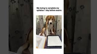 Trying to complete the syllabus 1day before exams  #shorts #funny #memes #youtubeshorts #exam