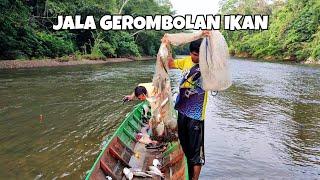 BEGINI HASILNYA KALO LEMPAR JALA DI ATAS GEROMBOLAN IKAN‼️