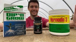 Whats My Favorite Rooting Hormone for Propagating Plants?