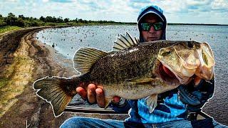 Farm 13 Stick Marsh Bass Fishing in Lake Drought I cannot believe I caught this many fish 