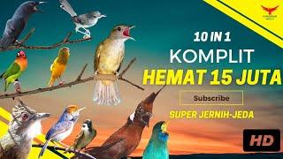 INI BEDA‼️ SEMUA Ada DISINI️HEMAT 15 JUTA Kompilasi Masteran