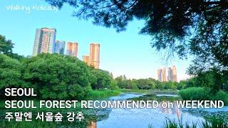 SEOUL Walking in Seoul Forest & Its Surroundings  서울숲과 주변 걷기 4K