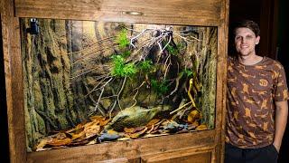 Suriname Toad Pipa pipa Breeding Tank Setup