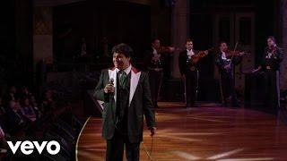 Juan Gabriel - Así Fue En Vivo Desde Bellas Artes México 2013