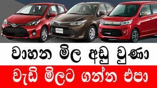 වාහන මිල වැඩි මිලට ගන්න එපා car price 2024  wahana mila Sri Lanka Car for sale Wikunana wahana