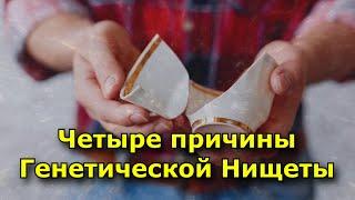 Четыре причины Генетической Нищеты.