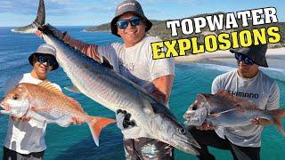 Snapper & Spanish Mackerel Fishing off Moreton Island