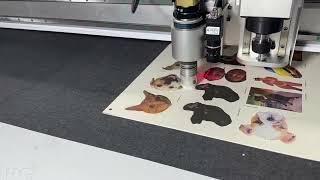 2024 Best CNC Knife Cutter With CCD Camera For KT Board