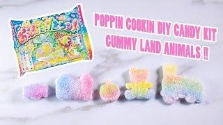 Kracie Popin Cookin DIY candy kit gummy land animals グミランド Oekaki by Kracie グミキャンディーキット