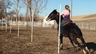 Flash making lope thru w13 yr old girl this is the 1st time ever riding him.