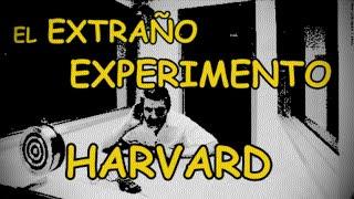 Has escuchado del Experimento Harvard? Descubre de que se Trata