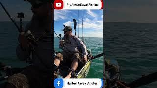 FISH ON FISH OFF - BASS ESCAPES - LURE FISHING UK - SEA FISHING - KAYAK FISHING UK