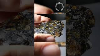 Метеорит Сеймчан - пластина с оливинами #метеорит #meteorite #meteoritejewelry #meteoritestyle