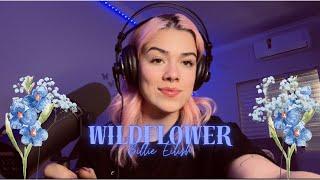 Mobi Colombo - WILDFLOWER  Billie Eilish cover