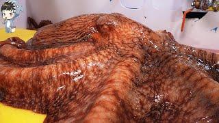 KOREAN STREET FOOD GIANT OCTOPUS DEVIL FISH KOREA SEAFOOD MARKET 포항 송도활어회센터 문어 090321