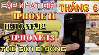 Cập Nhật Giá IPHONE 11 IPHONE 12 IPHONE 13 IPHONE 14 THÁNG 6 - 2024 Tại Thế Giới Di Động