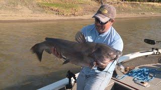 Trophy Red River Catfish