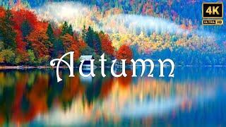 Beautiful Autumn Season Views Around the World • Scenic Relaxation Videos with Piano Relaxing Music