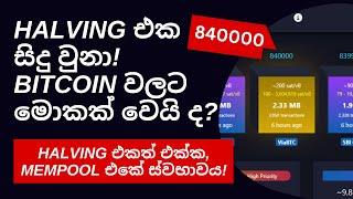 Bitcoin halving has taken place - Whats next for Bitcoin ? - Lets study Mempool data - Sinhala