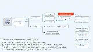 Diagnostic Algorithm for Spinal Muscular Atrophy SMA