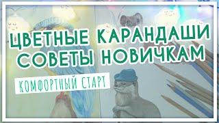 Цветные карандаши. Советы и лайфхаки новичкам. Как начать рисовать?