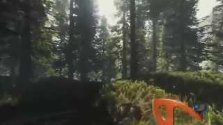 The Forest Ultra Graphics @60FPS