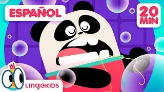 NOS VAMOS AL DENTISTA 🪥 + Canciones Infantiles  Lingokids en Español