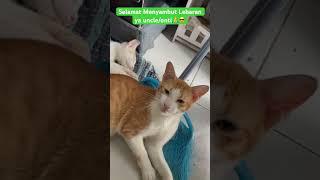 Selamat Menjelang Lebaran UncleOnti Kenalkan Jepri kucing Oyen yg tidak bar-bar ⁉️ #shorts #short