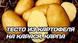 ТЕСТО ДЛЯ РЫБАЛКИ НА КАРАСЯ  КАРТОФЕЛЬНОЕ ТЕСТО НА КАРАСЯ КАРПА ПЛОТВУ ОСЕНЬЮ