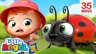 Bugs Bugs Go Away Bugs + More  Little Angel Kids Songs & Nursery Rhymes