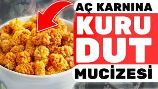 Aç Karnına 1 Avuç Kuru Dut Vücudunuza Bunları Yapıyor  Kuru Dutun Faydaları Ve Zararları Nelerdir?