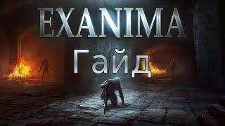 Тактика убийство огра на АДЕПТЕ гайд Exanima