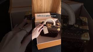 Unbox the rarest LOUIS VUITTON BAG 