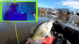 How to LiveScope #BigCrappie - Step by Step MUST KNOW Technique