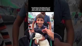 The children find joy with the cat despite being displaced in tents.. #muslim #islam