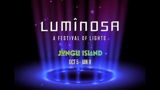 Luminosa A festival of light