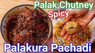 Palak Ki Chatni - Palakura Pachadi Andhra Style  Multipurpose Spinach Chutney for Rice Idli & Dosa