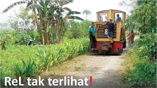 Road trains on the ground⁉️ sugarcane train track inspection 2023