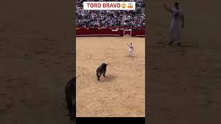 The Jaw-Dropping Art of Bull-Leaping 