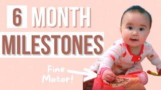 6 MONTH DEVELOPMENTAL MILESTONES  What Your Six Month Old Baby Should Be Able To Do + Activities