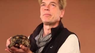 Julian Sands loves turtles