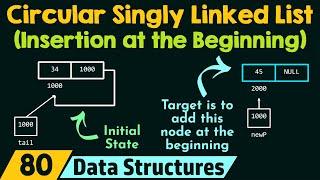 Circular Singly Linked List Insertion at the Beginning