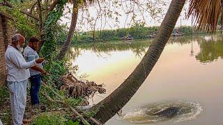 Fish Catching By 100 Years Old Fish Hunter