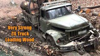 Very Strong 6x6 Truck ZIL Road Mud Loading Wood in The Forest