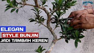 Makin keren konten perdana bonsai elegan dengan style bunjin