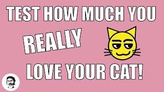 Test How Much You Really Love Your Cat