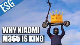 Why the Xiaomi M365 is the Most Popular Scooter in the World  Xiaomi Mi M365 Review