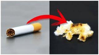 This is what happens in your lungs when you smoke a cigarette
